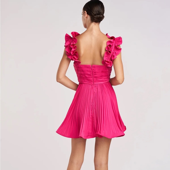 AMUR KITTY RUFFLE MINI DRESS - Picture 2 of 6